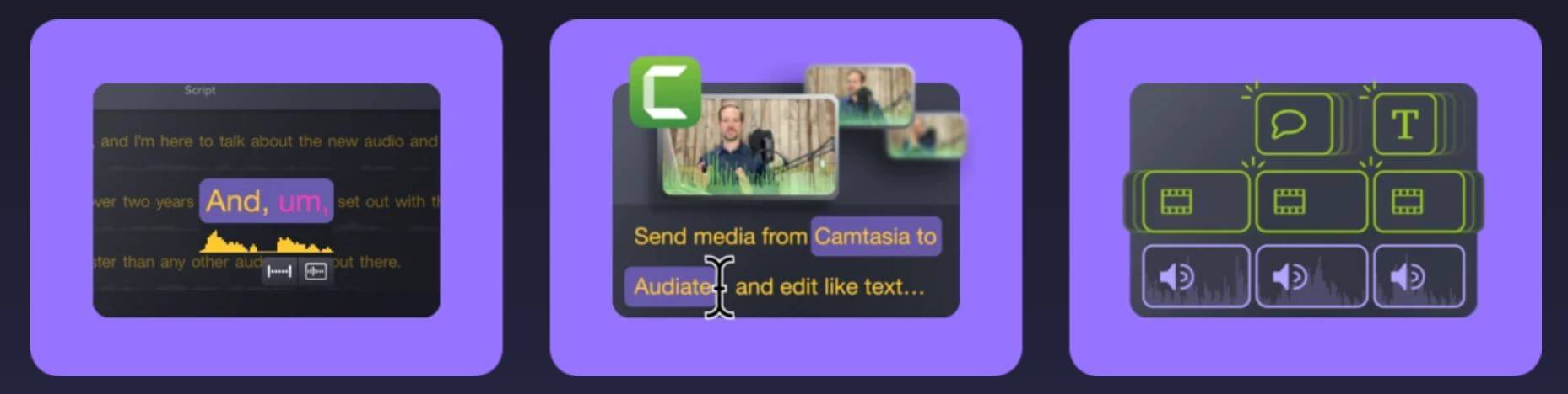 Camtasia audiate