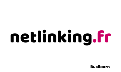 Netlinking.fr logo