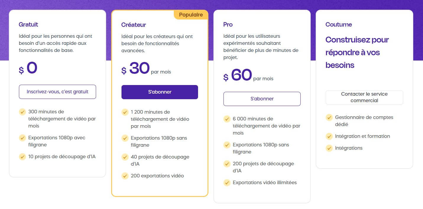 Vizard.ai prix