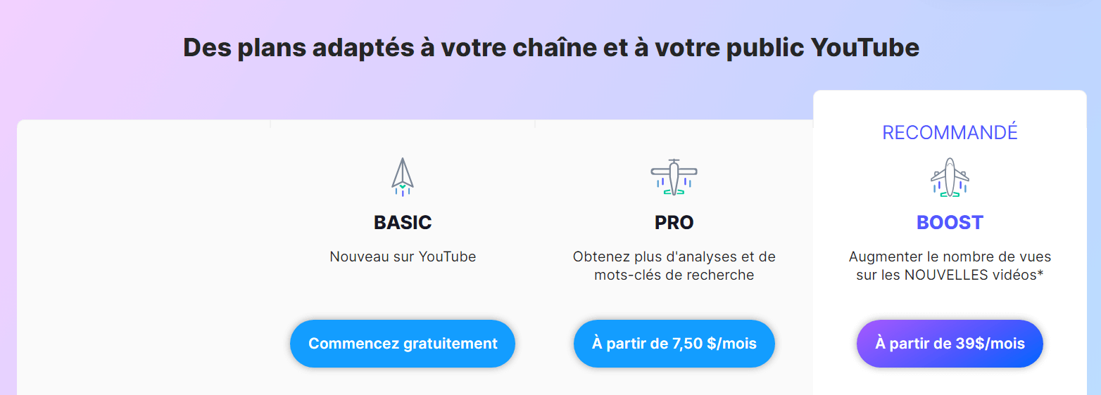 vidIQ prix