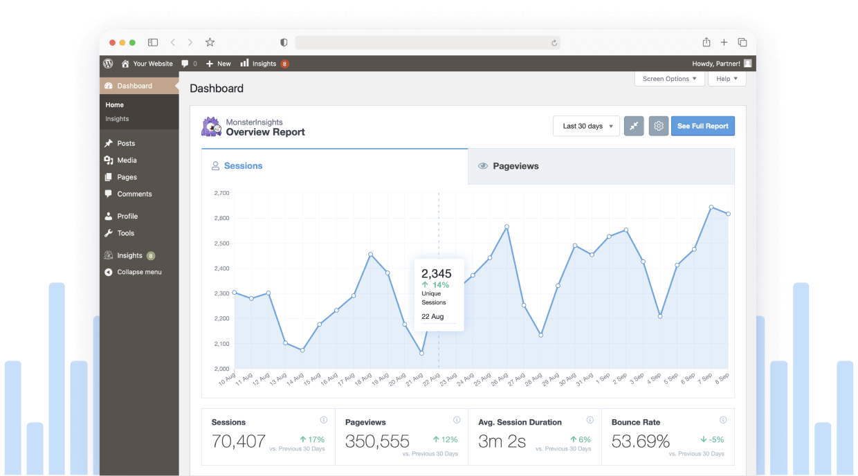 MonsterInsights rapports