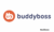 BuddyBoss Avis, Prix et Test