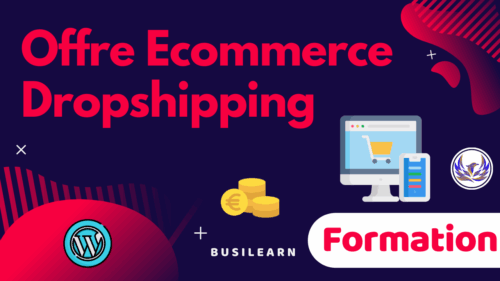 Formation dropshipping SEO